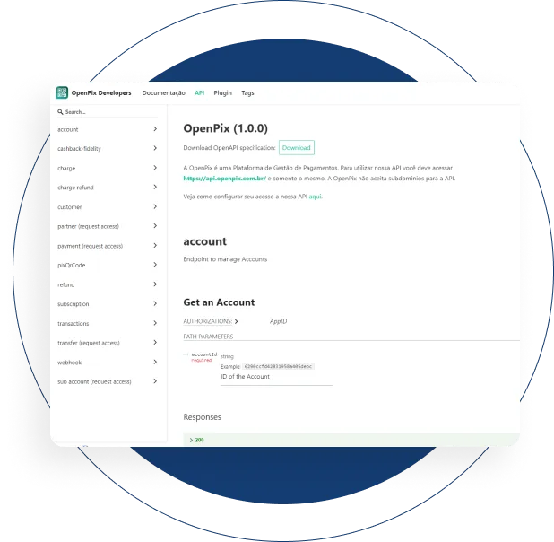 Imagem de exemplo da documentação para api pix